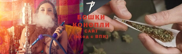 mdpv Горно-Алтайск