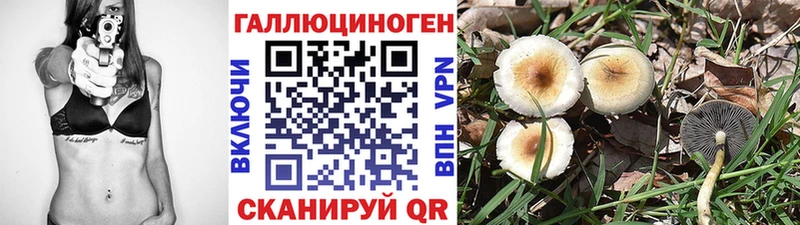 магазин    kraken зеркало  Галлюциногенные грибы прущие грибы  Приволжский 