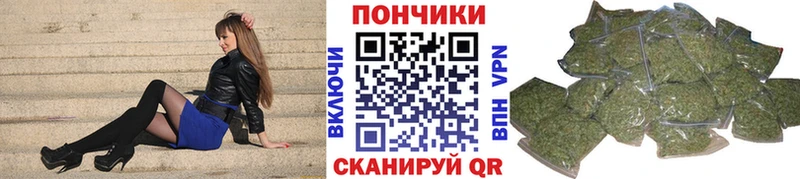 магазин продажи наркотиков  Приволжский  Бошки Шишки марихуана 